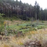 1310F 137 Oberstdorf-Kulmbach